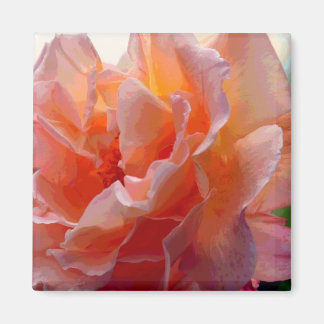 Rose Color Expression Square Magnet