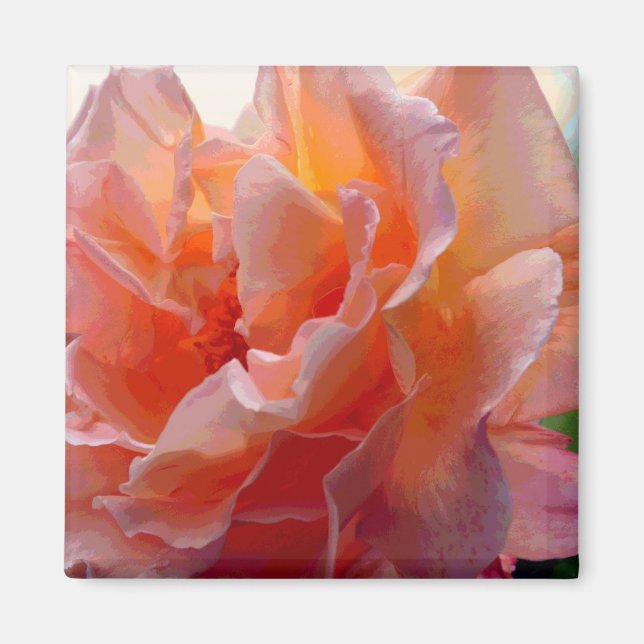 Rose Color Expression Square Magnet (Vorne)