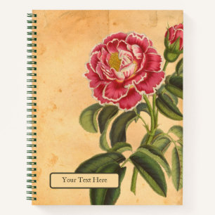Rose de Provence Spiral Notebook Notizbuch