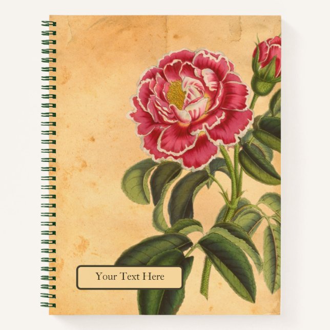 Rose de Provence Spiralblock Notizbuch (Vorderseite)