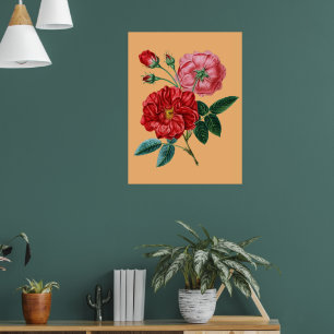 Rose De Provins Vintage Blume Wohngestaltung Gesch Poster
