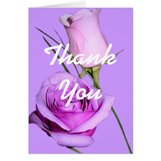 Rose der Blume Mehrzweckankündigungen (Vorne)