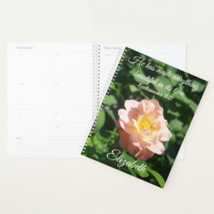 Rose der Blumen Ecclesiastes Pfirsichfarben Person Planer