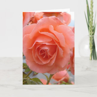 Rose der Freundschaft Karte
