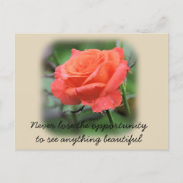 Rose der Korallen mit Raindrops Postkarte