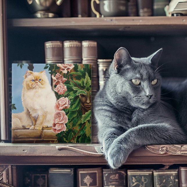 Rose der persischen Katze Fliese (Von Creator hochgeladen)