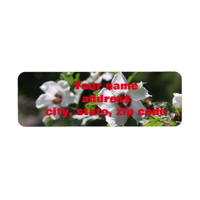 Rose der Sharon-Adressbezeichnungen (Vorne)
