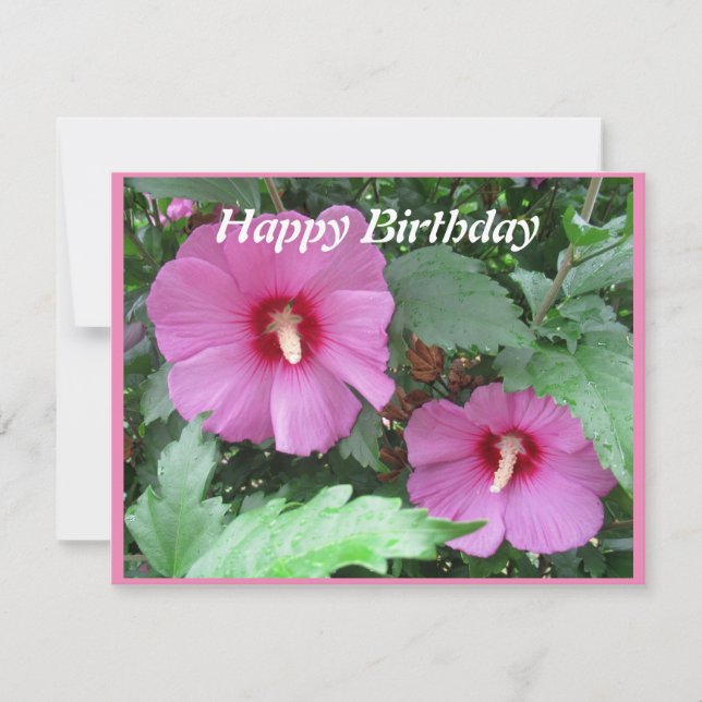 Rose der Sharon Birthday Card (Vorderseite)