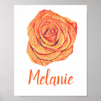 Rose der tropischen Mandarine