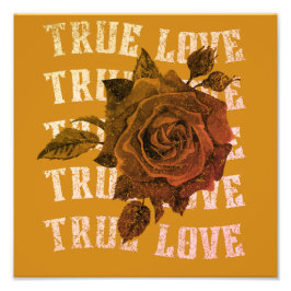 Rose der wahren Liebe Romantische Valentinstag Fotodruck