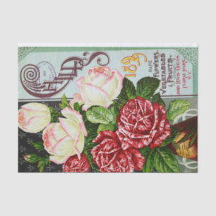 Rose des antiken Papiers 1899 Seidenpapier