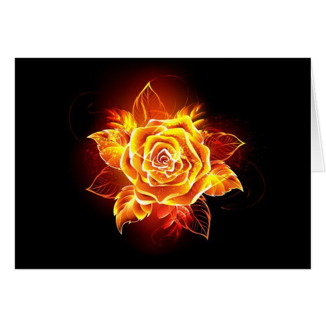 Rose des blühenden Feuers (Vorderseite (Horizontal))