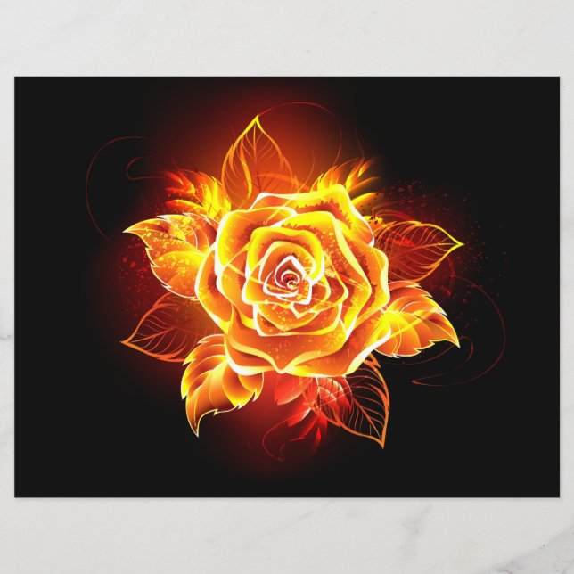 Rose des blühenden Feuers (Vorderseite)
