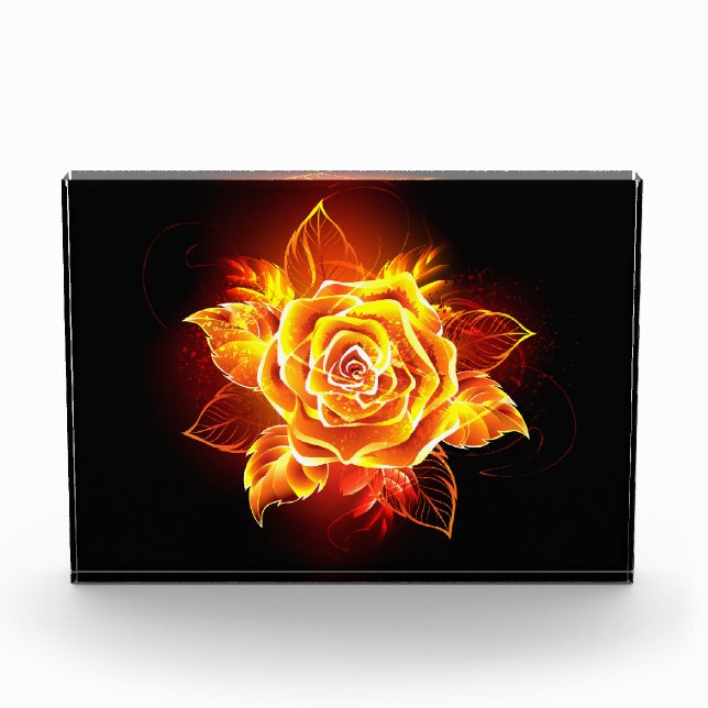 Rose des blühenden Feuers Fotoblock (Vorderseite)