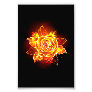 Rose des blühenden Feuers Fotodruck