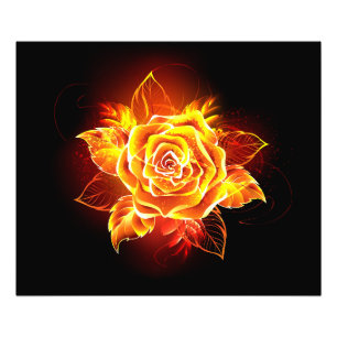 Rose des blühenden Feuers Fotodruck