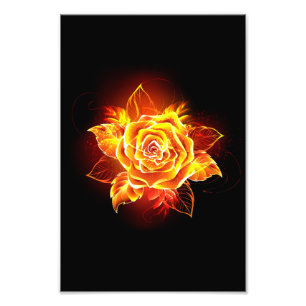 Rose des blühenden Feuers Fotodruck
