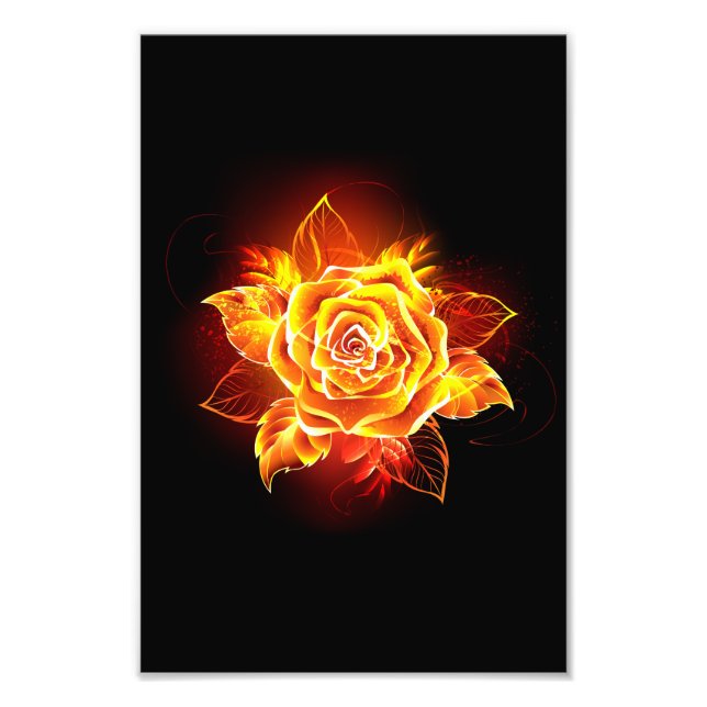 Rose des blühenden Feuers Fotodruck (Vorne)