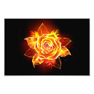 Rose des blühenden Feuers Fotodruck