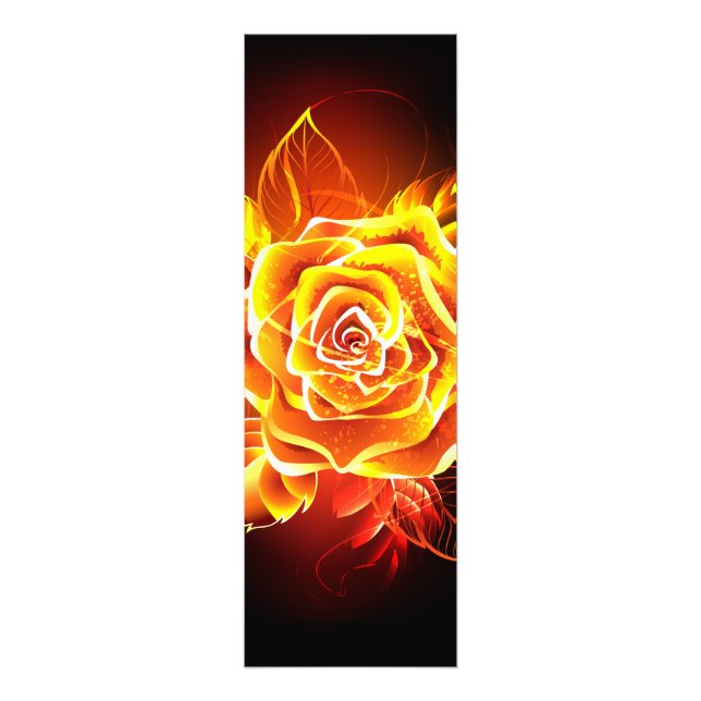 Rose des blühenden Feuers Fotodruck (Vorne)