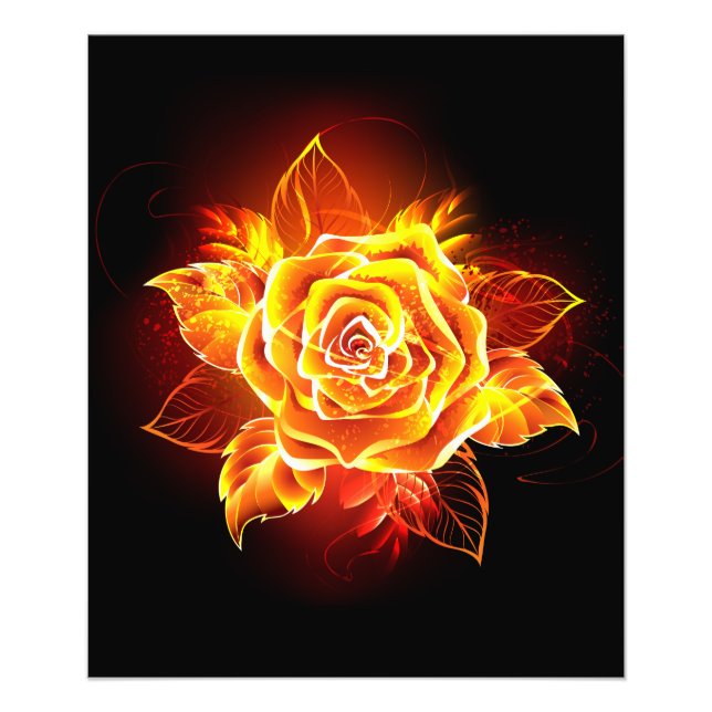 Rose des blühenden Feuers Fotodruck (Vorne)