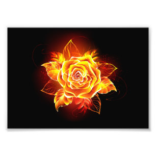 Rose des blühenden Feuers Fotodruck