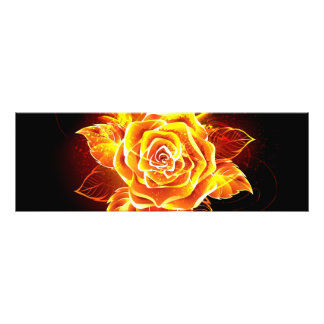 Rose des blühenden Feuers Fotodruck