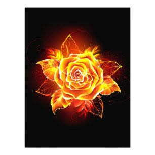Rose des blühenden Feuers Fotodruck