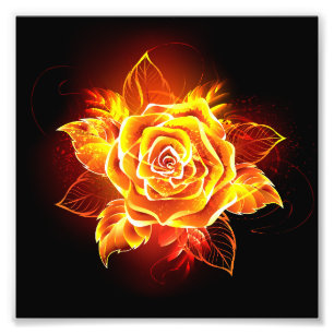 Rose des blühenden Feuers Fotodruck