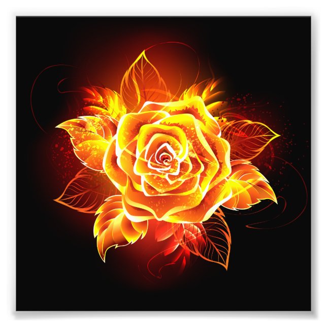 Rose des blühenden Feuers Fotodruck (Vorne)