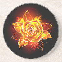 Rose des blühenden Feuers