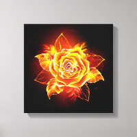 Rose des blühenden Feuers
