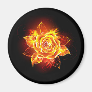 Rose des blühenden Feuers Magnet