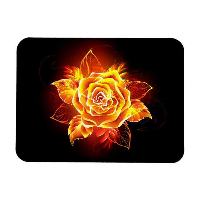 Rose des blühenden Feuers Magnet (Horizontal)