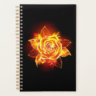Rose des blühenden Feuers Planer
