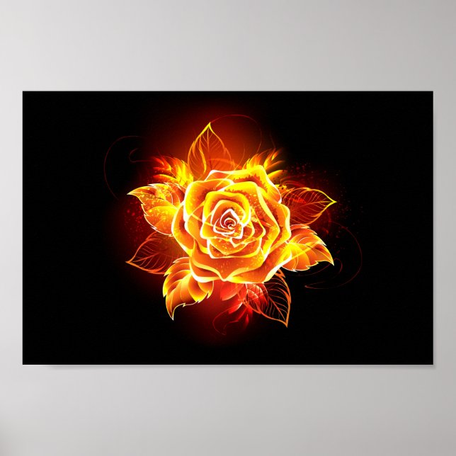 Rose des blühenden Feuers Poster (Vorne)