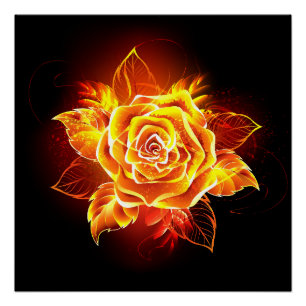 Rose des blühenden Feuers Poster