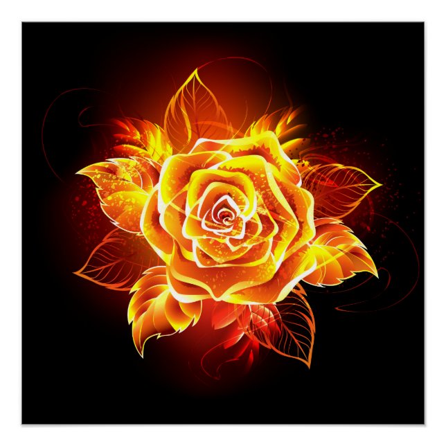 Rose des blühenden Feuers Poster (Vorderseite)