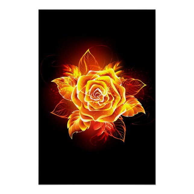 Rose des blühenden Feuers Poster (Vorderseite)
