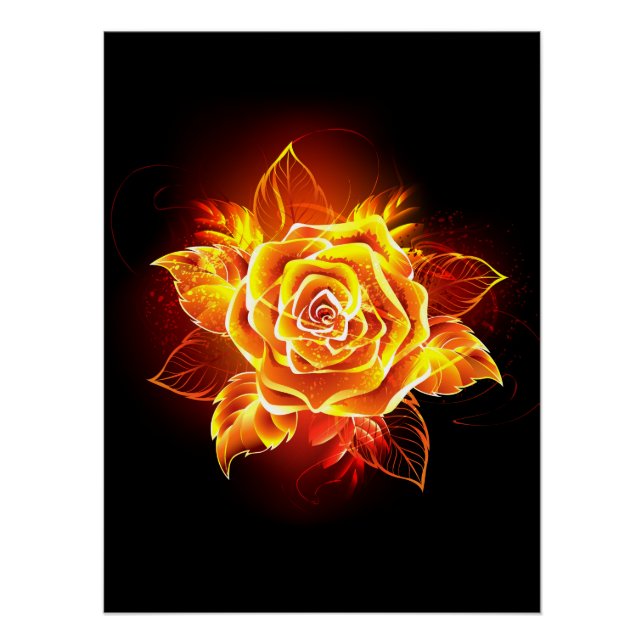 Rose des blühenden Feuers Poster (Vorderseite)