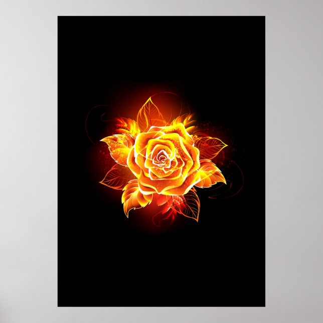 Rose des blühenden Feuers Poster (Vorne)