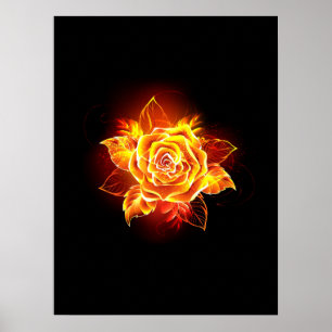 Rose des blühenden Feuers Poster