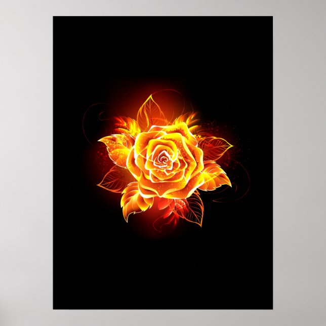Rose des blühenden Feuers Poster (Vorne)
