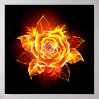 Rose des blühenden Feuers