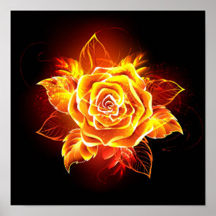 Rose des blühenden Feuers Poster