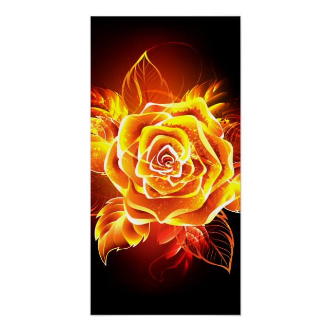 Rose des blühenden Feuers Poster (Vorderseite)