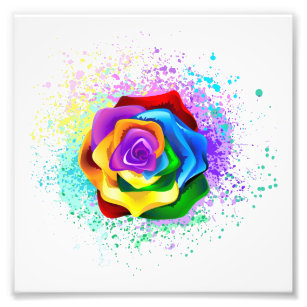 Rose des Regenbogens Fotodruck