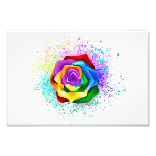 Rose des Regenbogens Fotodruck