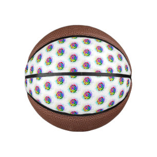 Rose des Regenbogens Mini Basketball