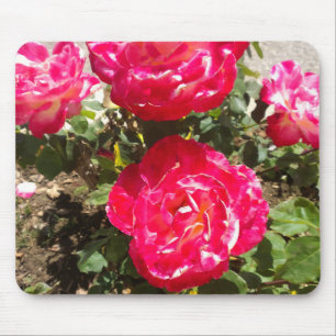 Rose des Roten Gartens Mousepad